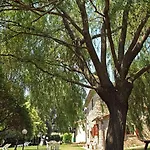 Agriturismo Nizzi Gospodarstwo agroturystyczne Asyż