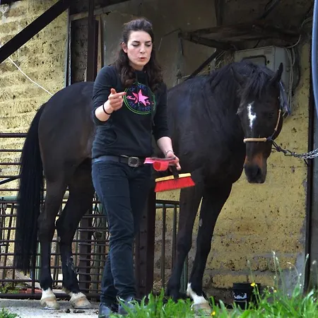 Agriturismo Nizzi Asís