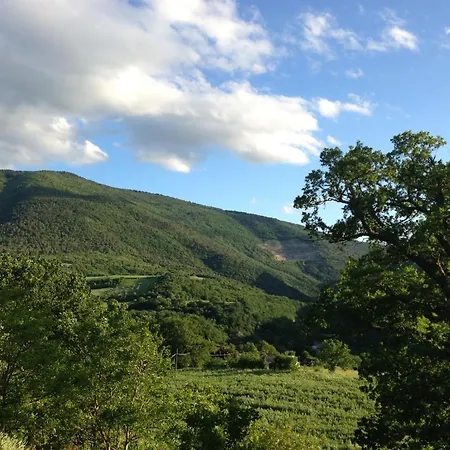 Agriturismo Nizzi Asís