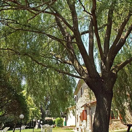 Agriturismo Nizzi Farm stay Assisi