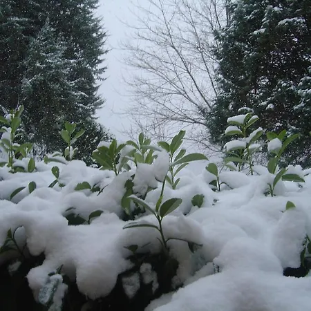 Agriturismo Nizzi مزرعة للإقامة أسيسي