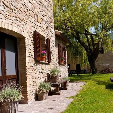 مزرعة للإقامة Agriturismo Nizzi أسيسي